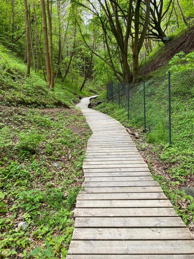 Zielone Rozewie Park Ngoại thất bức ảnh